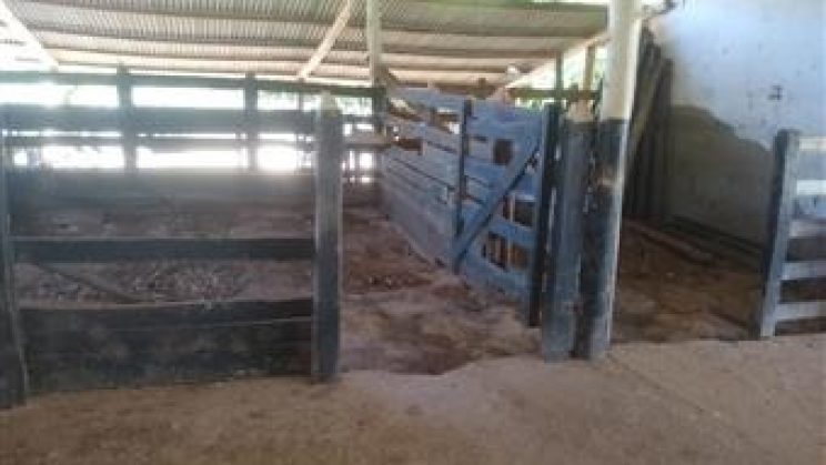 Vendo Sitio e Casa 03 Dormitórios-Zona Rural- Soledade de Minas-MG f01 (20)