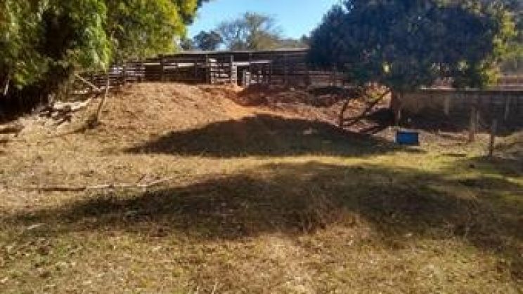 Vendo Sitio e Casa 03 Dormitórios-Zona Rural- Soledade de Minas-MG f01 (26)