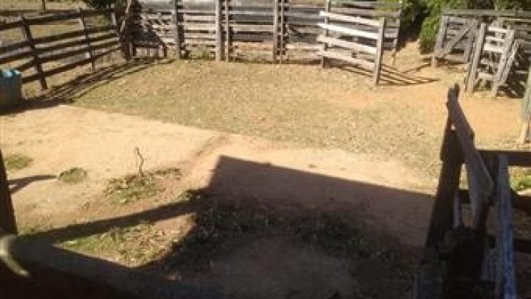 Vendo Sitio e Casa 03 Dormitórios-Zona Rural- Soledade de Minas-MG f01 (27)