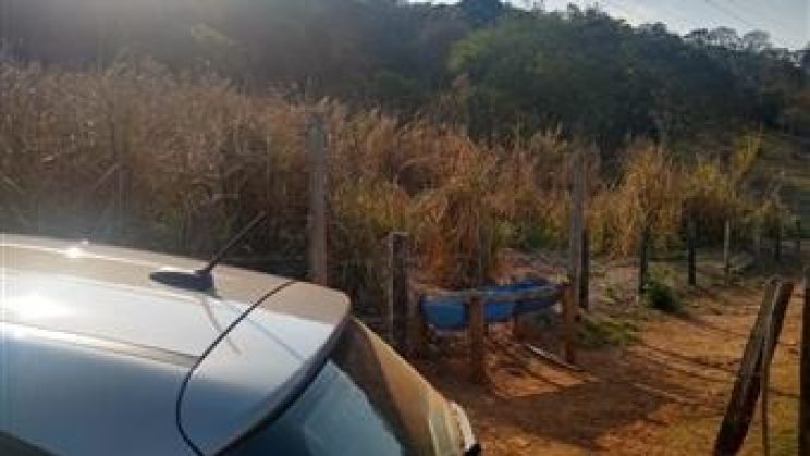 Vendo Sitio e Casa 03 Dormitórios-Zona Rural- Soledade de Minas-MG f01 (34)
