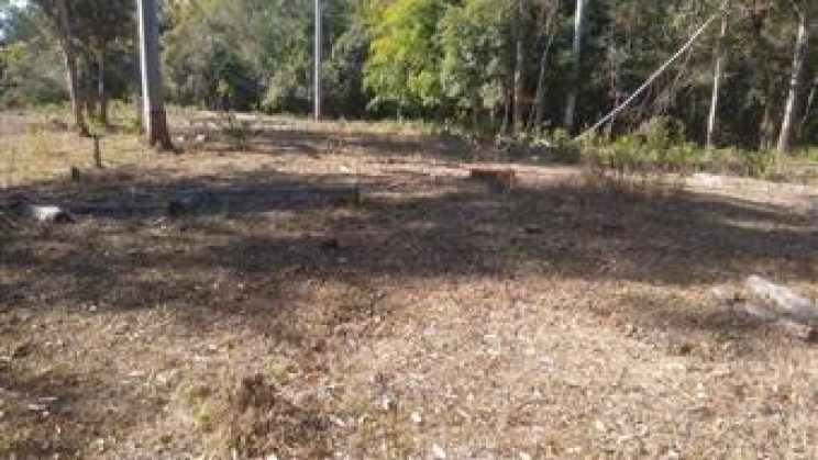 Vendo Sitio e Casa 03 Dormitórios-Zona Rural- Soledade de Minas-MG f01 (6)