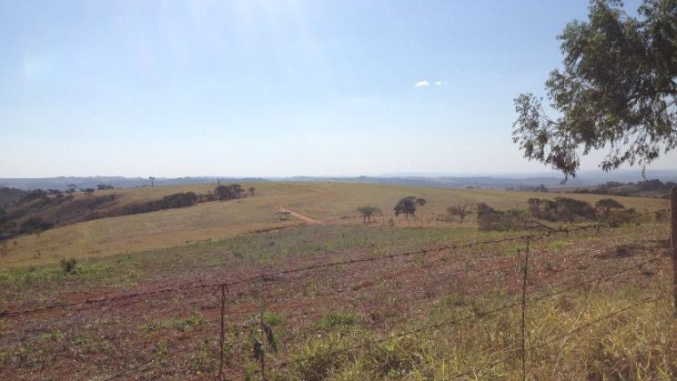 Vendo fazenda 250 Hectares Prata-MG 13