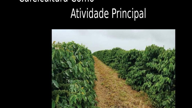Vendo fazenda de 2000 hectares Oliveira- MG