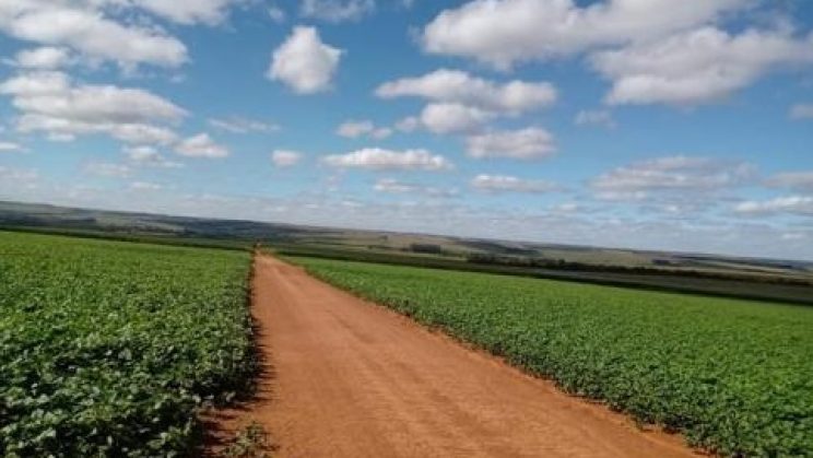 Vendo fazenda de 2020 Hectares- Triangulo Mineiro-MG (16)