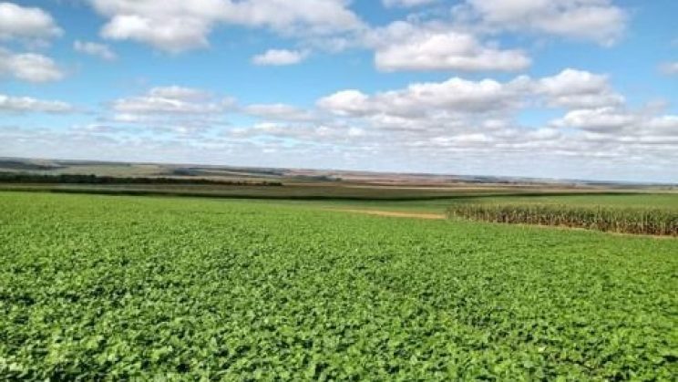 Vendo fazenda de 2020 Hectares- Triangulo Mineiro-MG (5)