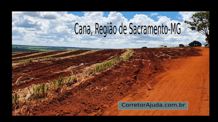 Vendo fazenda de 35 Alqueirão- Sacramento-MG c05
