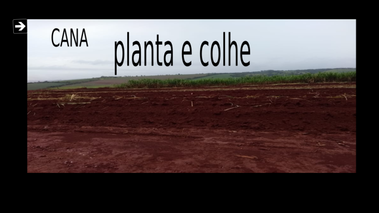 Vendo fazenda de 35 Alqueirão- Sacramento-MG c06