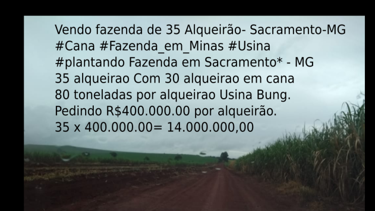 Vendo fazenda de 35 Alqueirão- Sacramento-MG c08