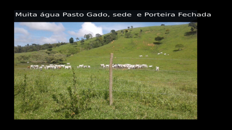 Vendo fazenda de 718 Hectares- Piumhi-MG c13