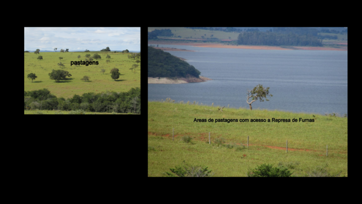 Vendo fazenda de 718 Hectares- Piumhi-MG c9