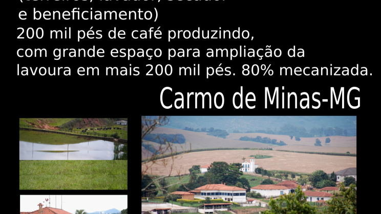Vendo fazenda em Carmo de Minas - MG – 458 ha.