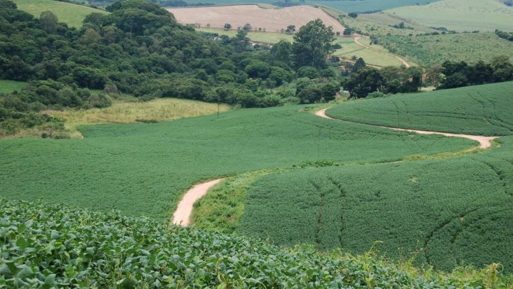 Vendo fazenda em Carmo de Minas - MG – 458 ha. 014