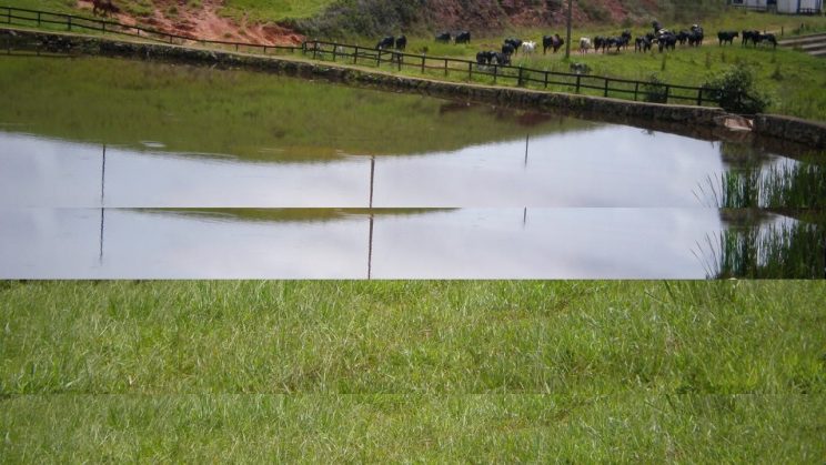 Vendo fazenda em Carmo de Minas - MG – 458 ha. 08