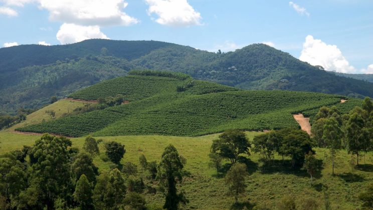 Vendo fazenda em Carmo de Minas - MG – 458 ha. 10