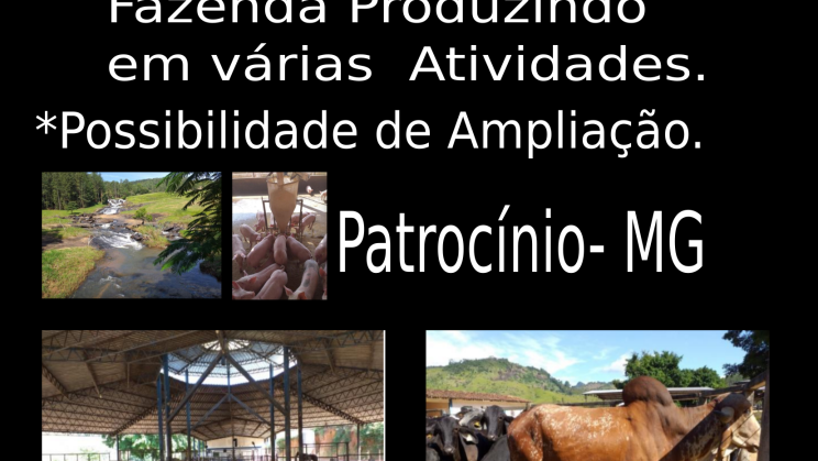 capa FAZENDA 3000 HECTARES REGIÃO DE PATROCÍNIO 019