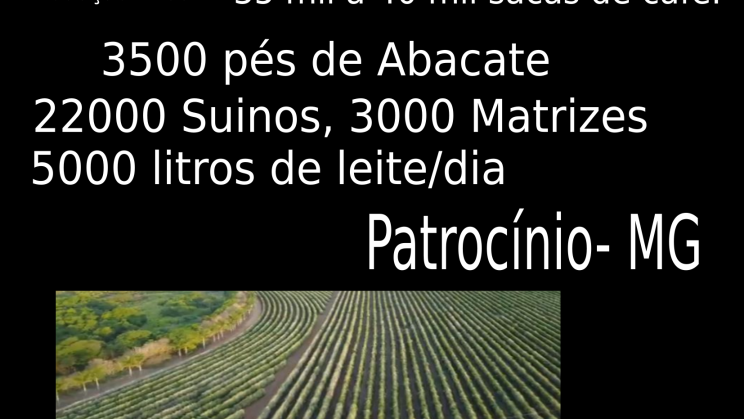 capa FAZENDA PATROCINIO-MG CAFECULTURA E CIA 01
