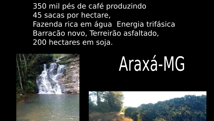 fazenda Cafeeira de 1064 hectares Araxá-MG 01