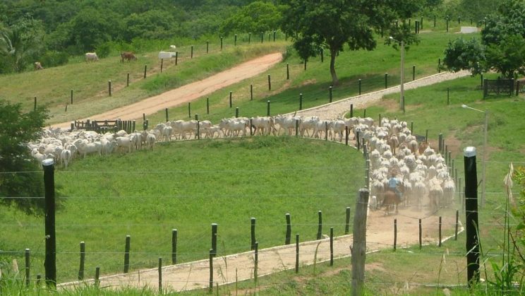 fazenda em Jequitinhonha 1023 HECTARES 01