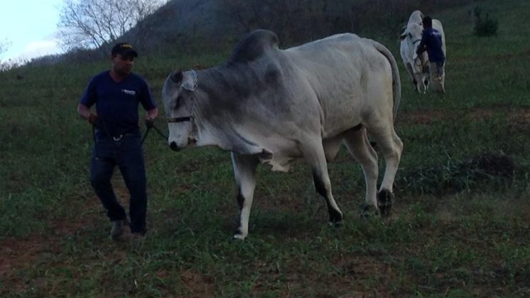 fazenda em Jequitinhonha 1023 HECTARES 011