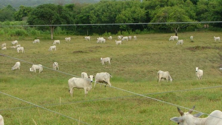fazenda em Jequitinhonha 1023 HECTARES 06