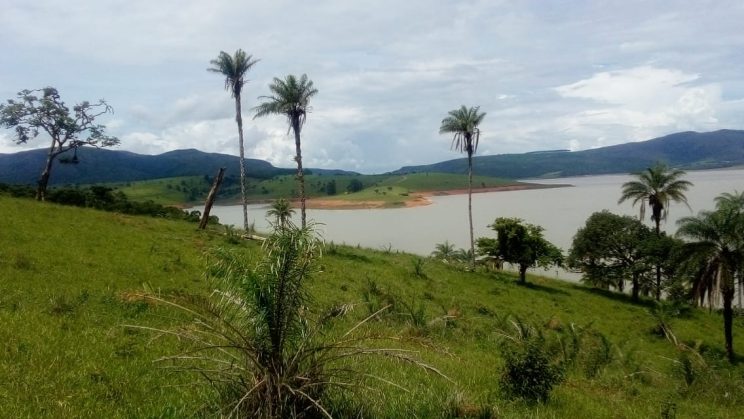 joanil 15hectares 011