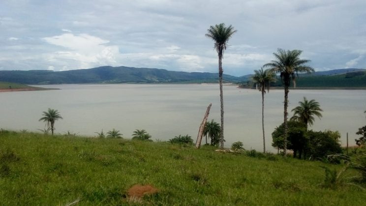 joanil 15hectares 013