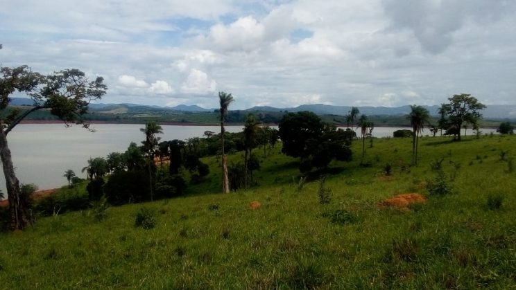 joanil 15hectares 014