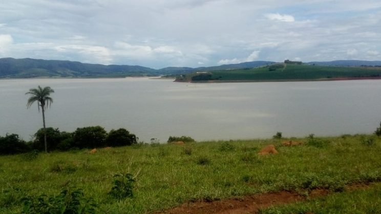 joanil 15hectares 016