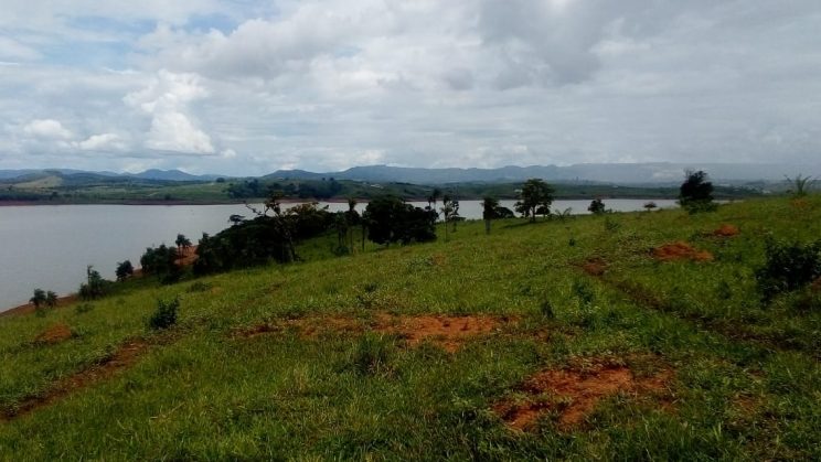 joanil 15hectares 017