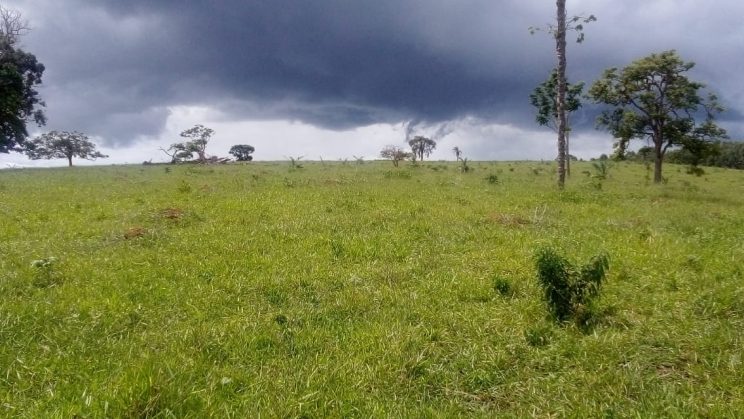 joanil 15hectares 03