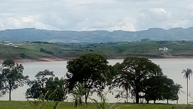 joanil 15hectares 05
