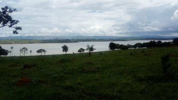 joanil 15hectares 06
