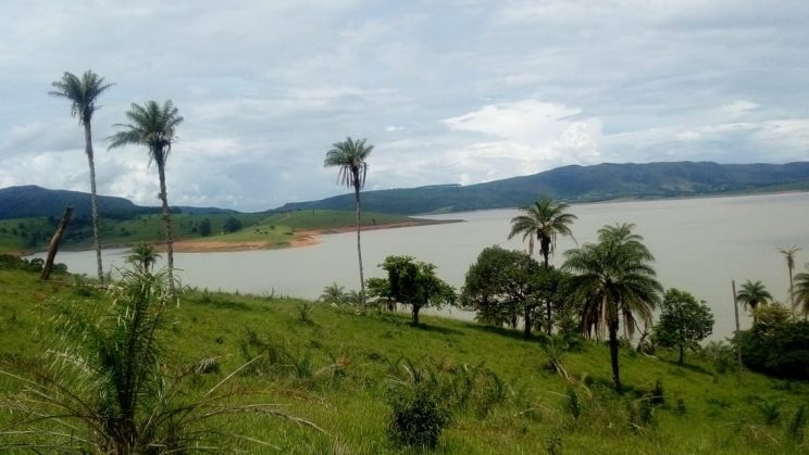 joanil 15hectares 09