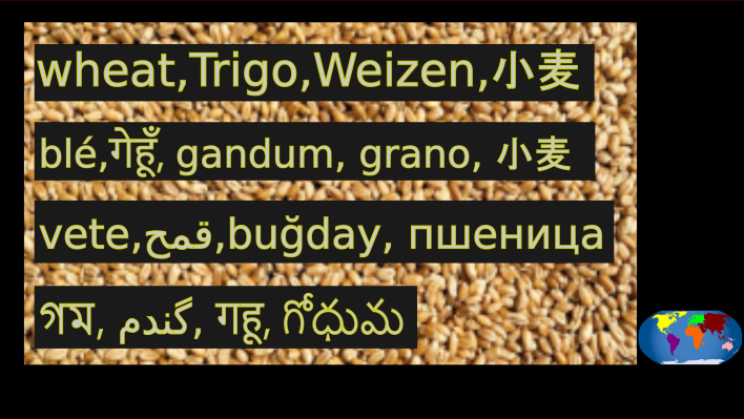 tres_trigo