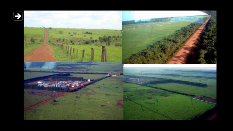 vendo Fazenda de 121813 Hectares MATO GROSSO-MT C12