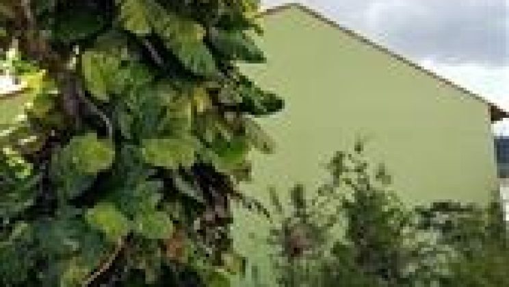 vendo casa 03 dormitórios- Carioca- São Lourenço-MG f 01 (12)