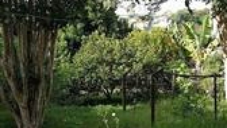 vendo casa 03 dormitórios- Carioca- São Lourenço-MG f 01 (13)