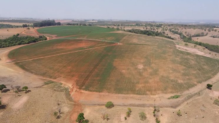 vendo fazenda de 139 hectares Araxá-Mg 06