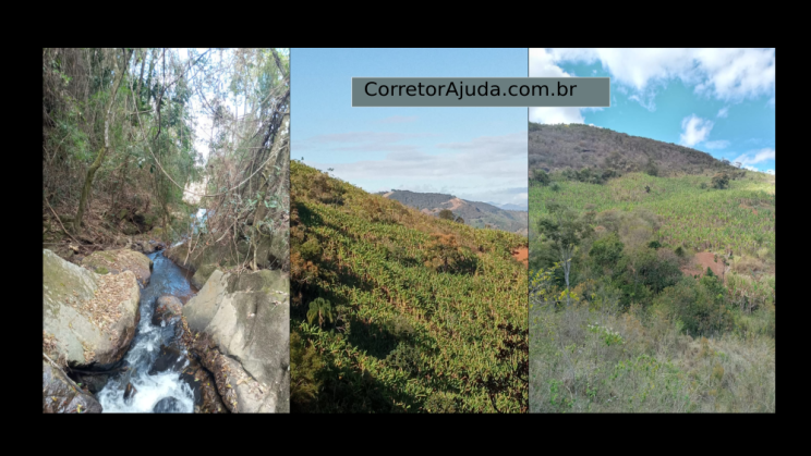vendo fazenda de 15 alqueires em Maria da fé-MG c06