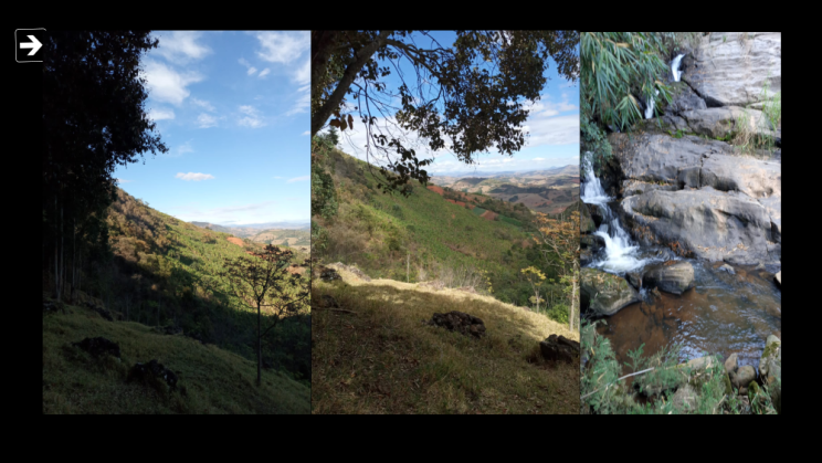 vendo fazenda de 15 alqueires em Maria da fé-MG c07