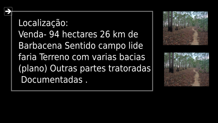 vendo fazenda de 94 hectares em barbace-mg c 01 (5)
