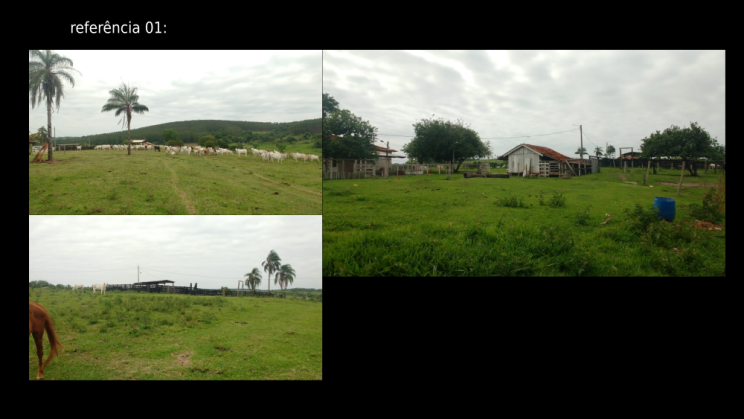 vendo sítio de 170 alqueires em Anhambi-SP c03